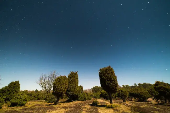 Ulvshale, full moon