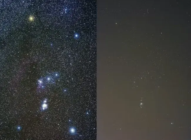 Orion