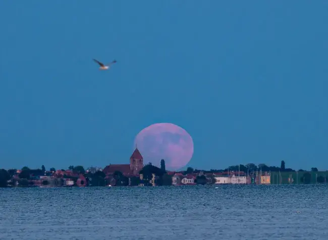 Månen står op over Stege