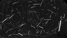 Perseids from meteor cam