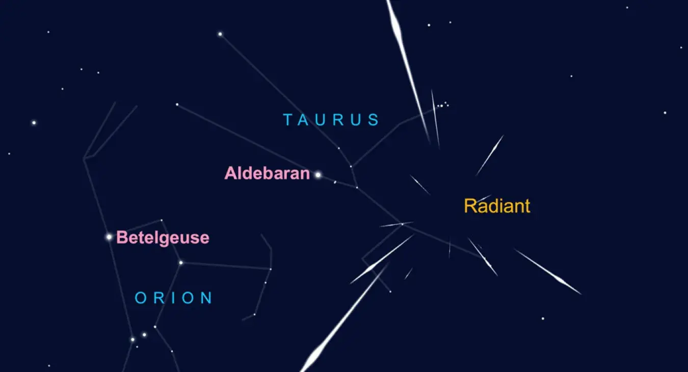 Taurids