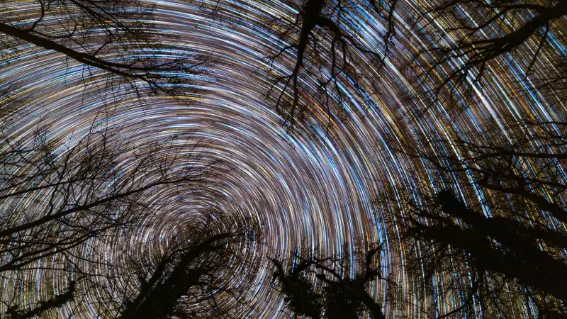 Startrails
